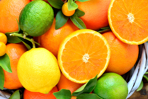 柑橘系のフルーツの写真