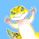 矢森てん